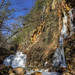 Bruce Low Photo 8