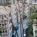 Connie Belcher Photo 27