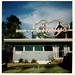 Cindy Foster Photo 13