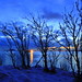 April Winters Photo 30
