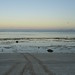 Dawn Musgrave Photo 13