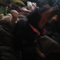 Scott Rawlins Photo 8