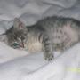 Beth Zimmerman Photo 26