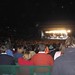 Mark Chastain Photo 13