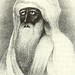 Mohammad Abdallah Photo 31