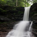 Sheldon Reynolds Photo 21