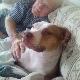 Connie Burrows Photo 7