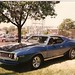 Robert Sarvis Photo 26