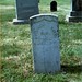 Stephen Alexander Photo 12