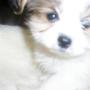 Julie Cartwright Photo 12
