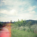 Diana Lane Photo 12