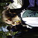 Elizabeth Willits Photo 12
