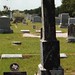 Matthew Strong Photo 33
