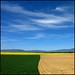 Yong Yang Photo 40