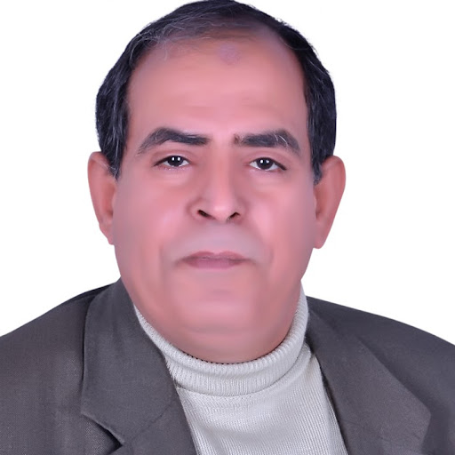 Mohamed Awad Photo 32