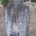 Harrison Robinson Photo 7
