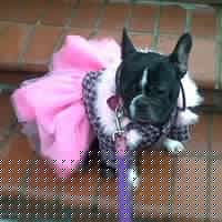 Crystal Slade Photo 7