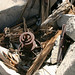 Joshua Gabel Photo 4