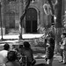 Martha Murguia Photo 14
