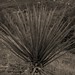 Timothy Flora Photo 10