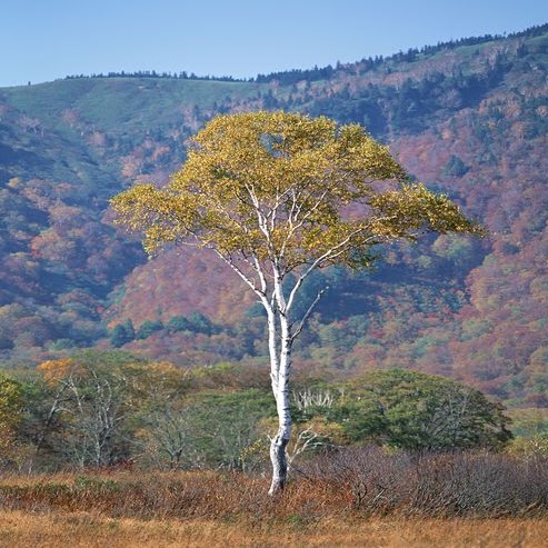 Gary Gray Photo 15