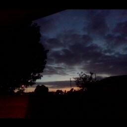 Shane Caldwell Photo 26