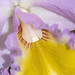Anne Breeden Photo 18
