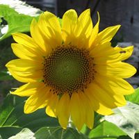 Cathy Graves Photo 25