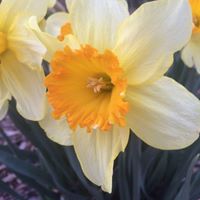 Jennifer Grider Photo 32