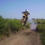 Robert Robins Photo 36