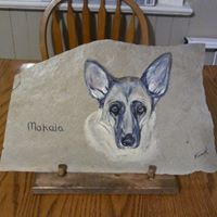 Lynda Morrison Photo 7