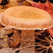 Barbara Gerlach Photo 6