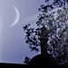 Mohammed Fateh Photo 25