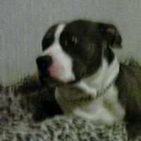 Nick Thacker Photo 8
