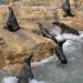 Christina Seals Photo 10