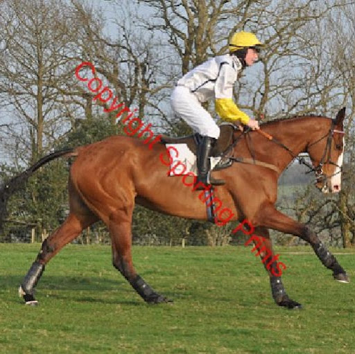 Robert Flint Photo 50