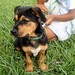 Marvin Jackson Photo 16