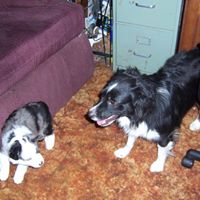 Margaret Reardon Photo 5