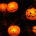 Susan Tripp Photo 21