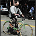 Don Mccarthy Photo 40