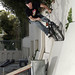 Sean Parker Photo 30