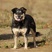 Jodie Green Photo 14