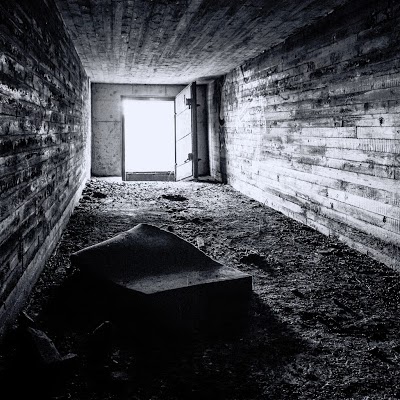Daniel Rapp Photo 12