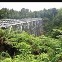 Lynda Harris Photo 26