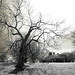 Thomas Strom Photo 16