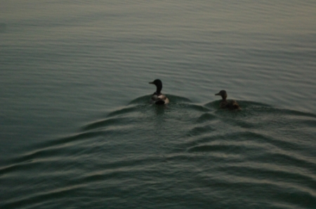 Shawn Walker Photo 5