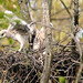 Terry Hawks Photo 12