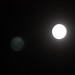 Debbie Moon Photo 25