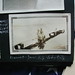 Jeanne Fitzgerald Photo 19