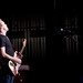 Wayne Shepherd Photo 15